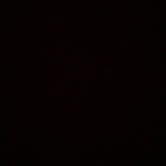 Meet your Posher, Layla - Picture 1 of 1